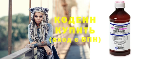 Альфа ПВП Лагань